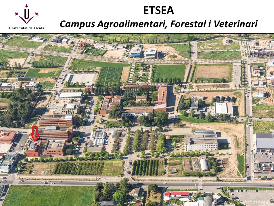 Campus_ETSEA