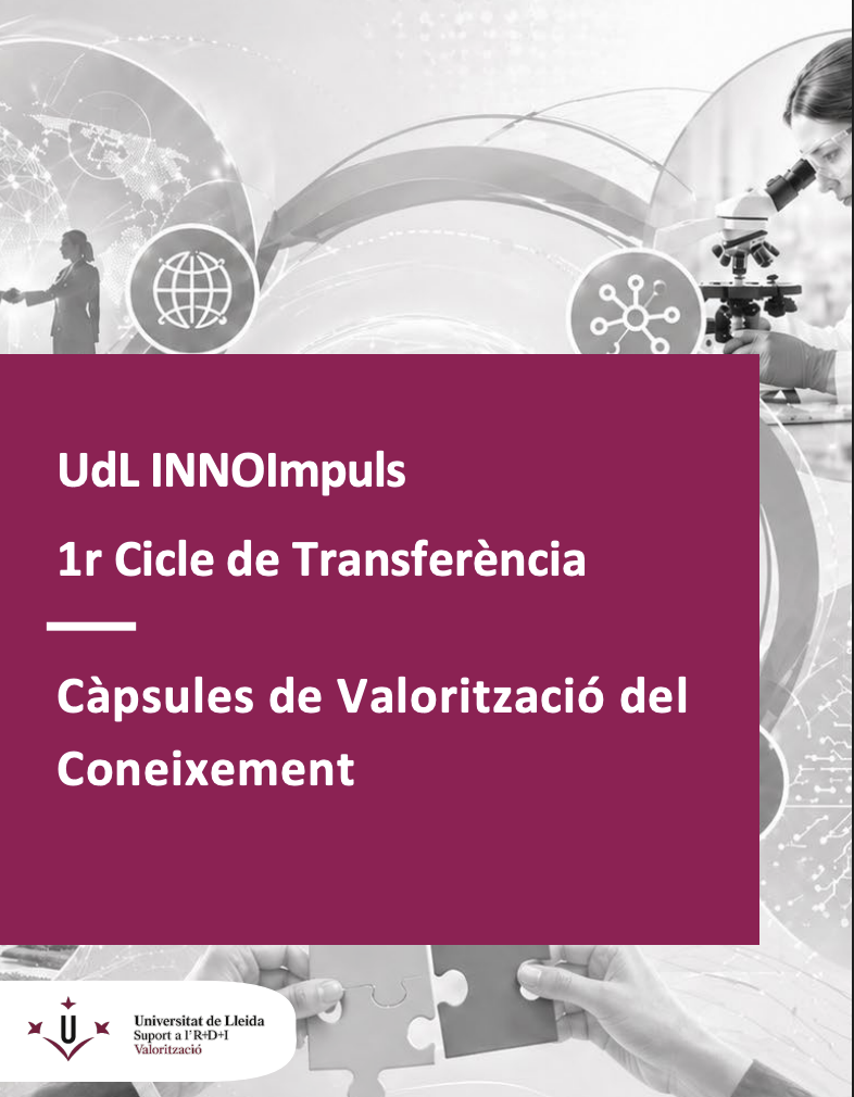 InnoImpuls_Imatge