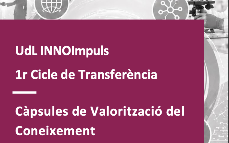 InnoImpuls_Imatge