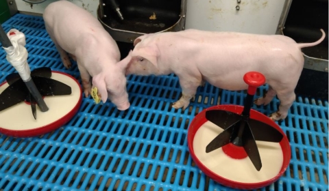 Noticia_UdL_11_12_25_2