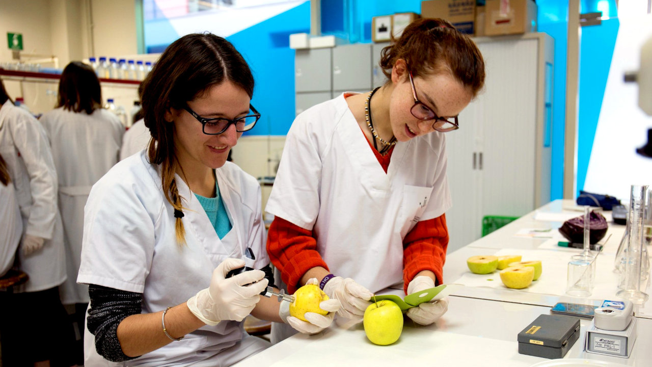 Lideratge en el sector agroalimentari i en la gestió forestal